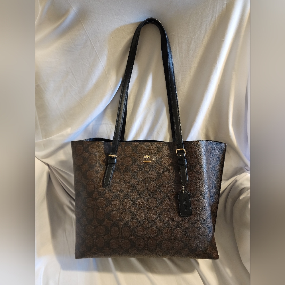 Coach mollie tote signature canvas